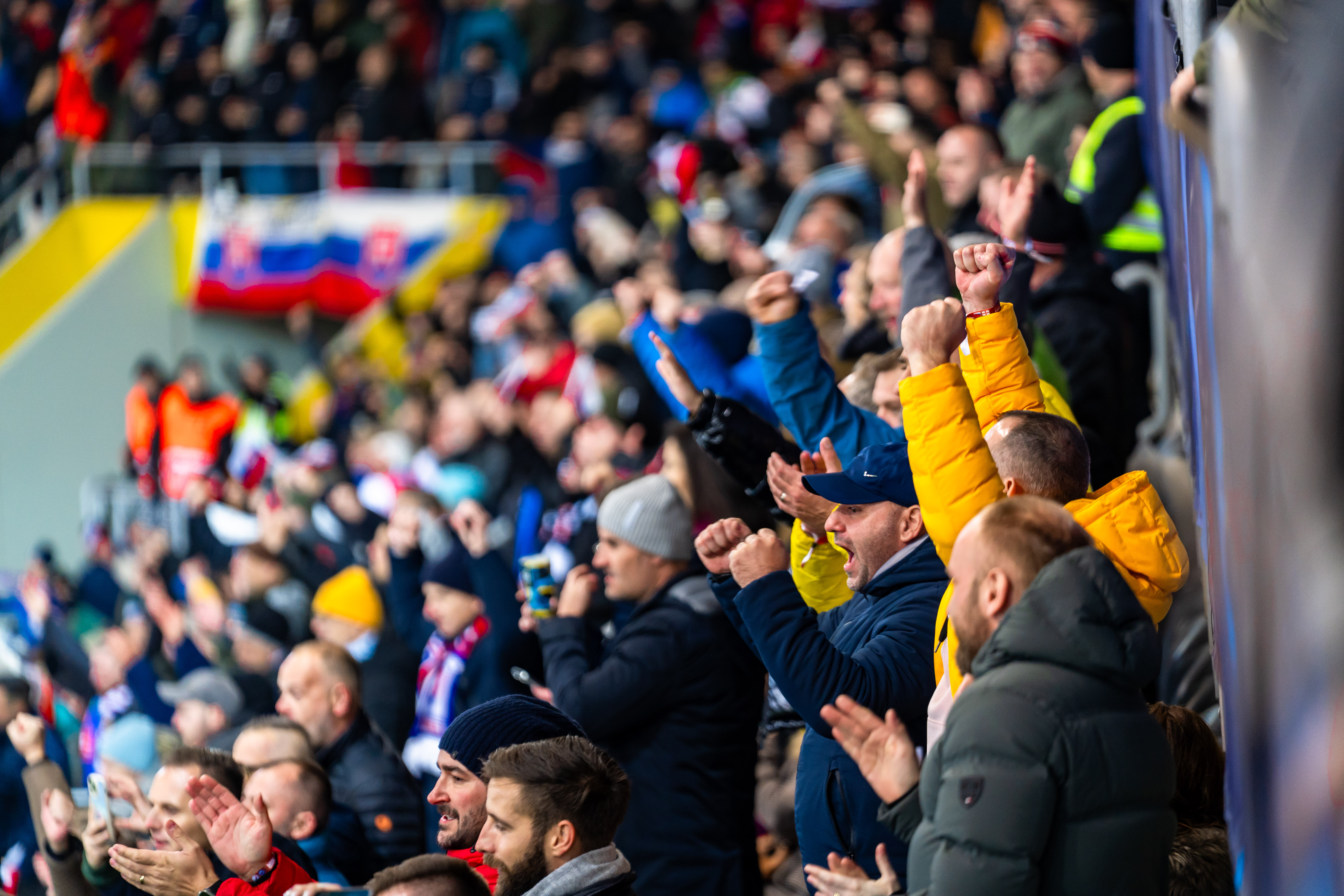 Slovensko vs Severne Irsko-62